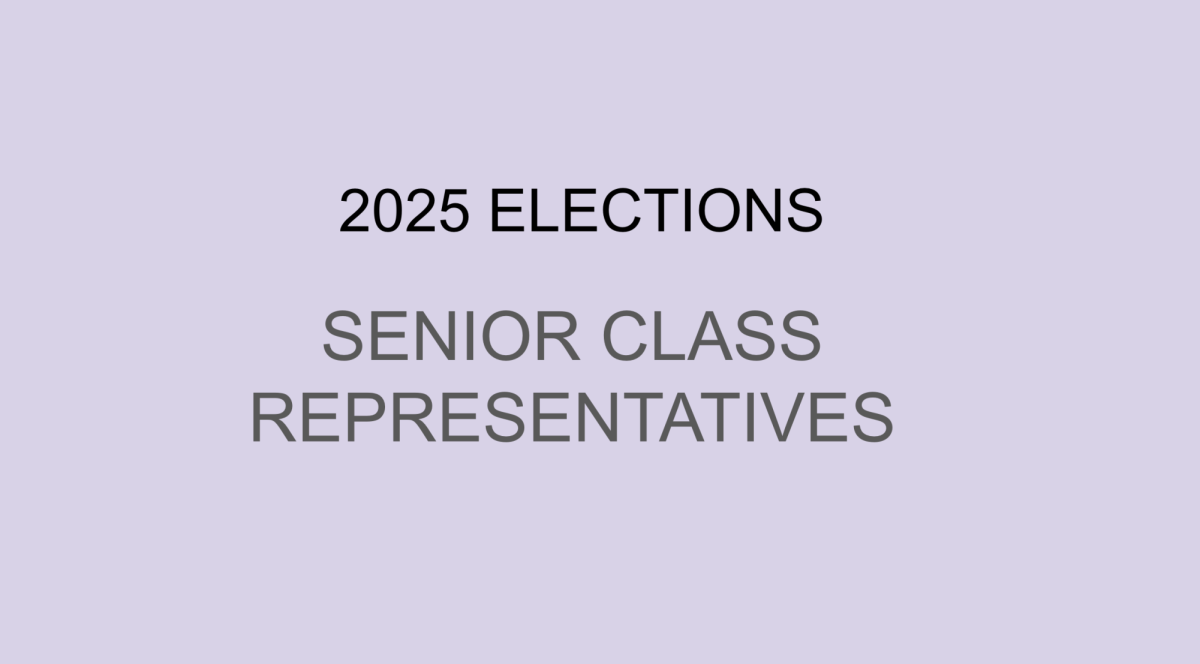 Senior Class Representative Candidates